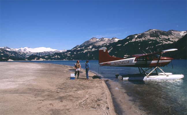 Bush Pilot Katmai
