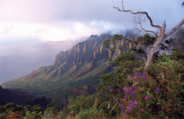 Kalalau Valley, Kauai