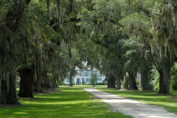 Oakland Plantation