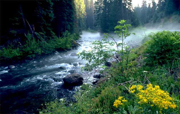 Olympic National Park