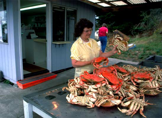 Pacific Crabs