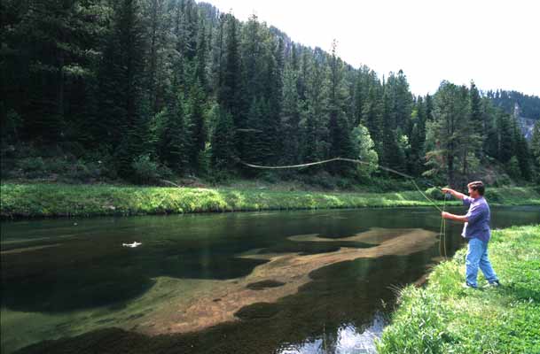 Fly-Fishing, South Dakota