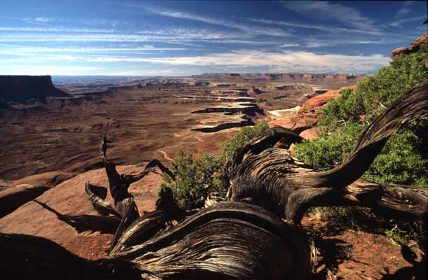 Canyonlands