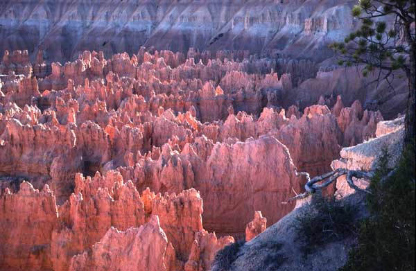 Bryce Canyon
