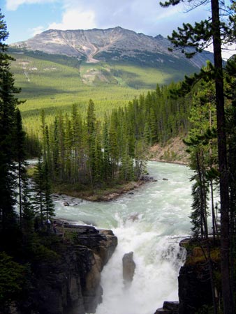 Sunwapta Falls