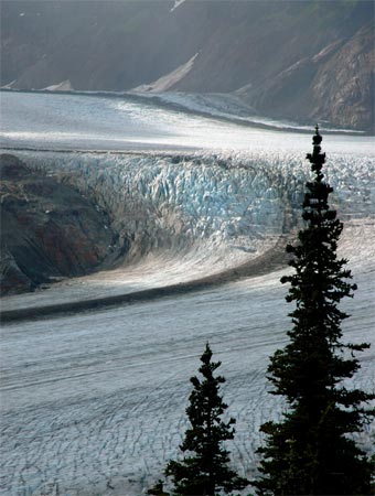 Bear Glacier