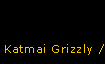 Katmai Grizzly