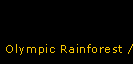 Olympic Rainforest