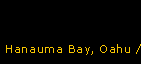 Hanauma Bay, Oahu