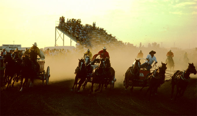 Chuckwagon Race